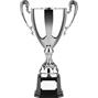 Nickel Plated Trophy thumbnail